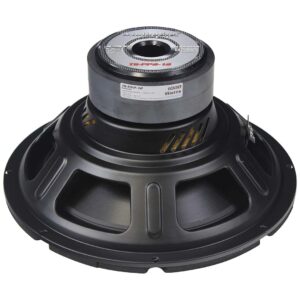 AUDIOPIPE BAJO 15” (TS-PP2-15)