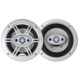 BLAUPUNKT BOCINAS MARINAS 6.5” (GTM652W)