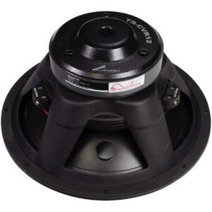 AUDIOPIPE BAJO 12” (TS-CVR12)